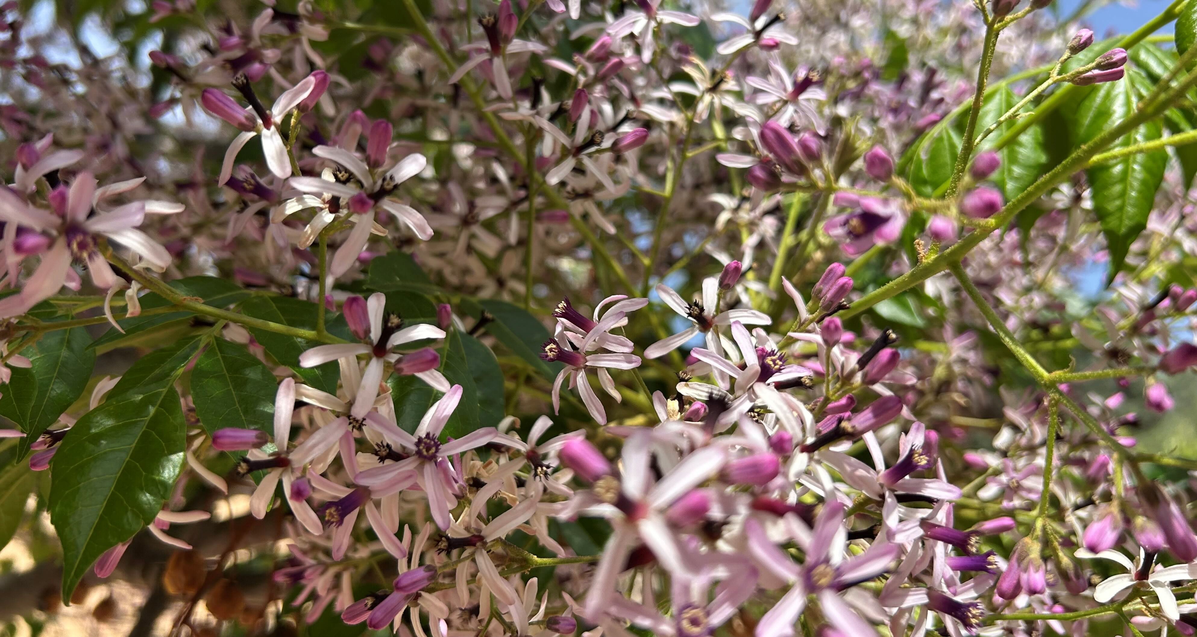 image001 12